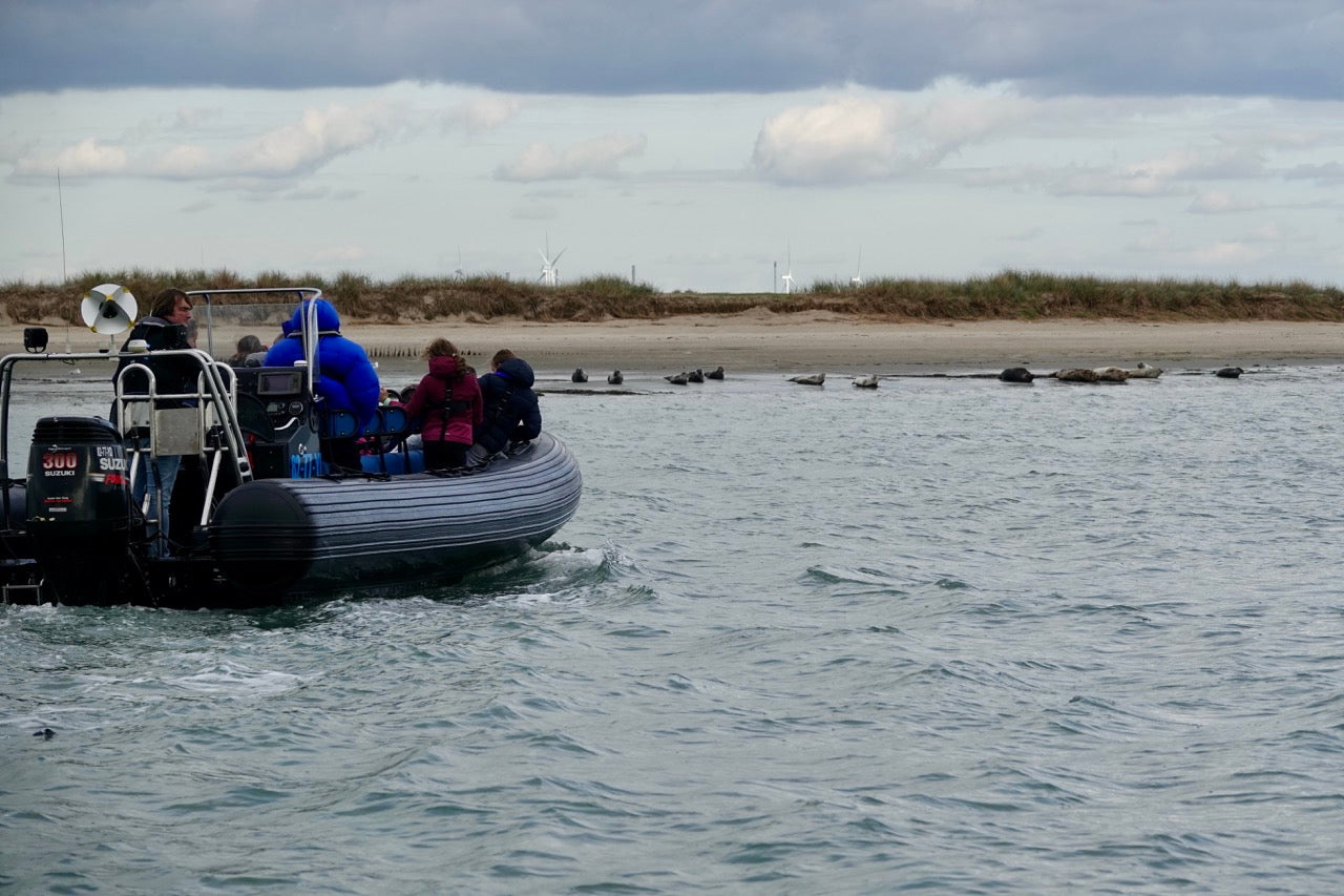 Westerschelde tour